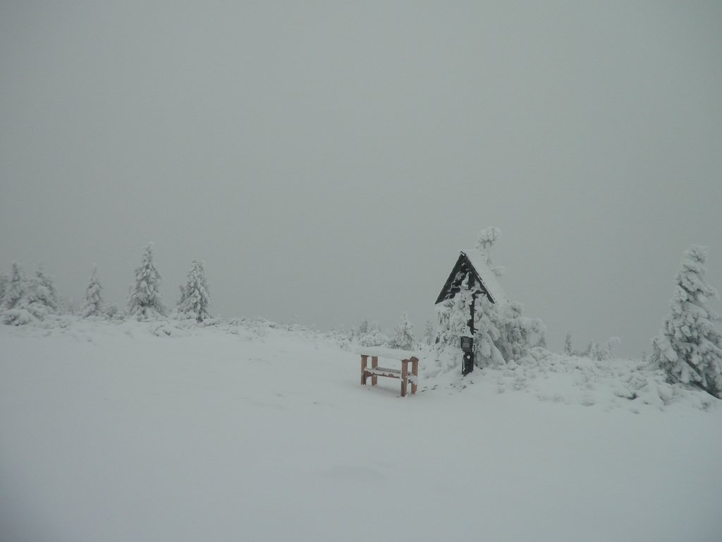PC190004.JPG