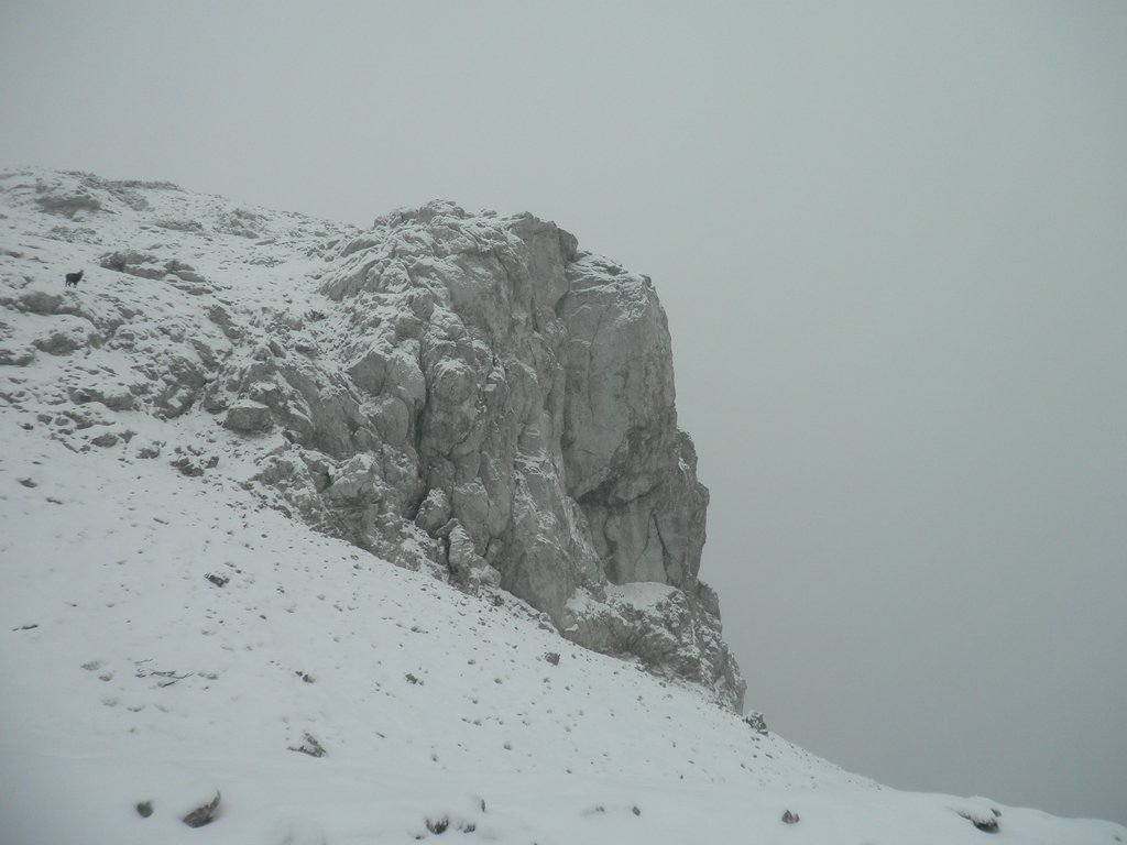 PC190018.JPG