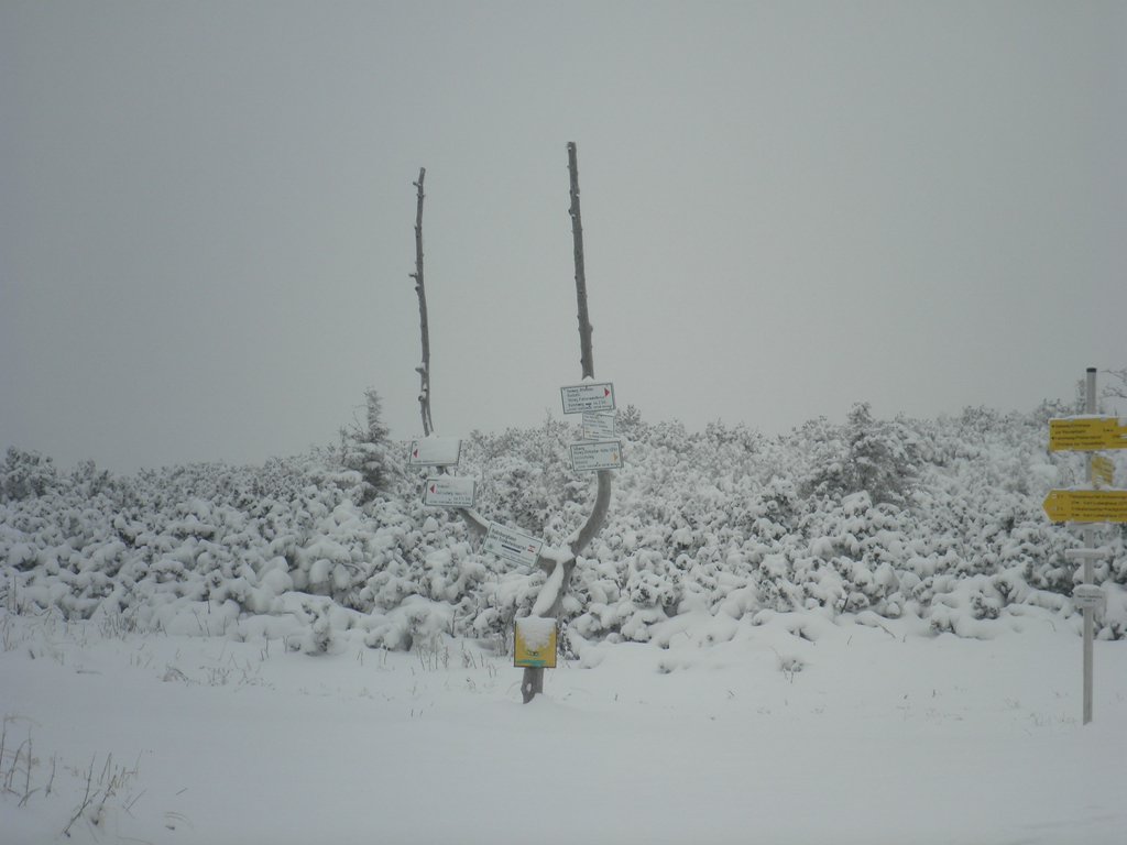 PC190023.JPG