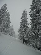 PC190003.JPG