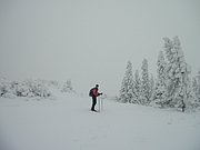 PC190005.JPG