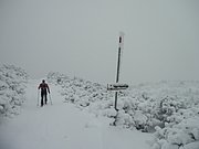 PC190010.JPG