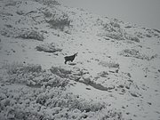 PC190016.JPG