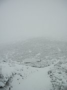 PC190021.JPG