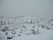 PC190026.JPG