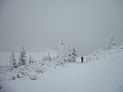 PC190027.JPG
