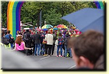 IMGP3294.JPG