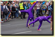 IMGP3710.JPG