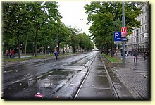IMGP4320.JPG