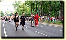 IMGP8517.JPG