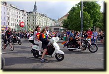 IMGP8564.JPG