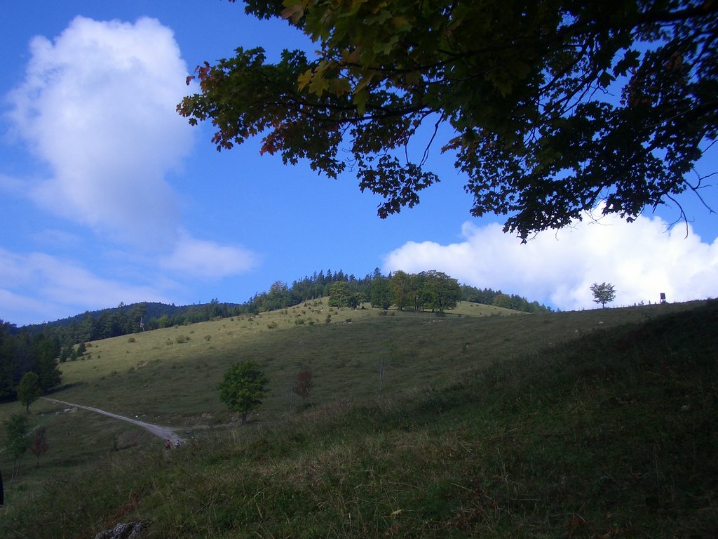 CIMG2549.JPG