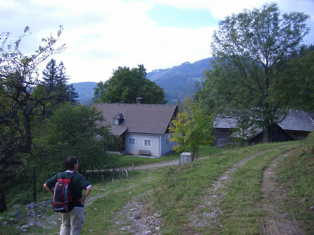 CIMG2553.JPG
