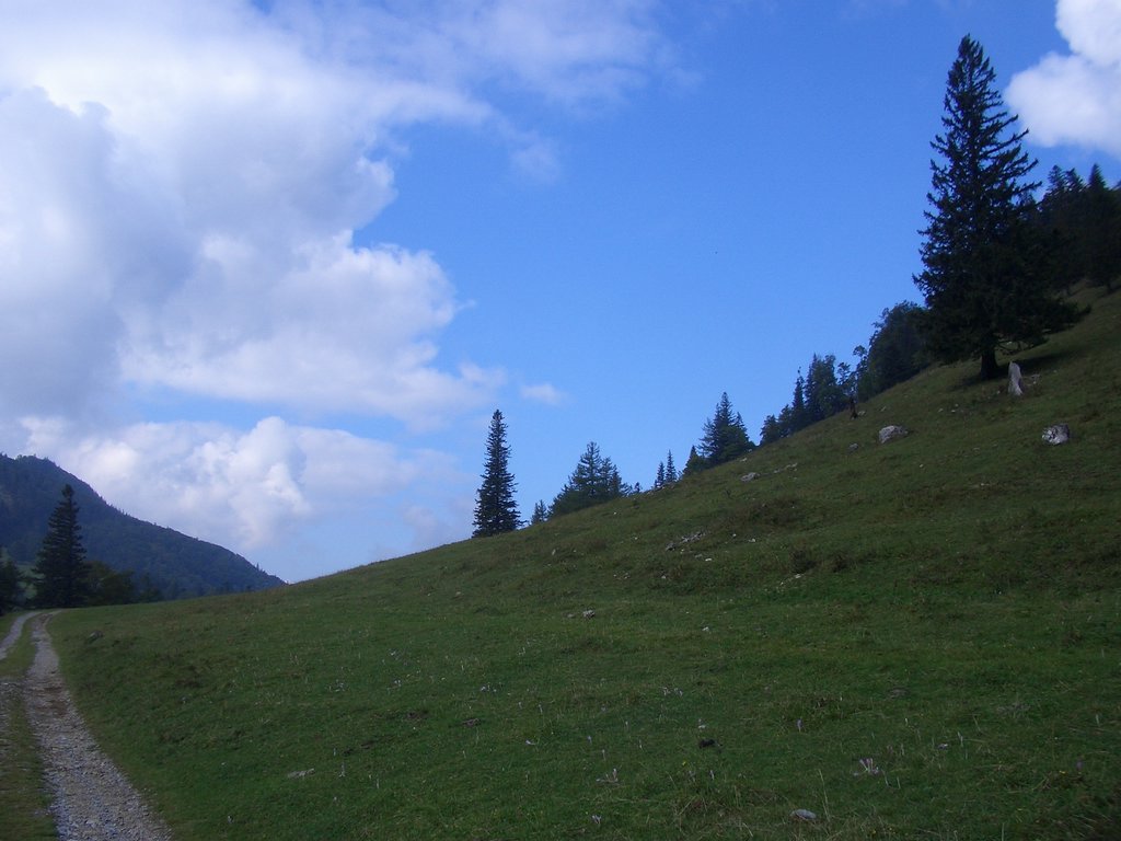 CIMG2555.JPG