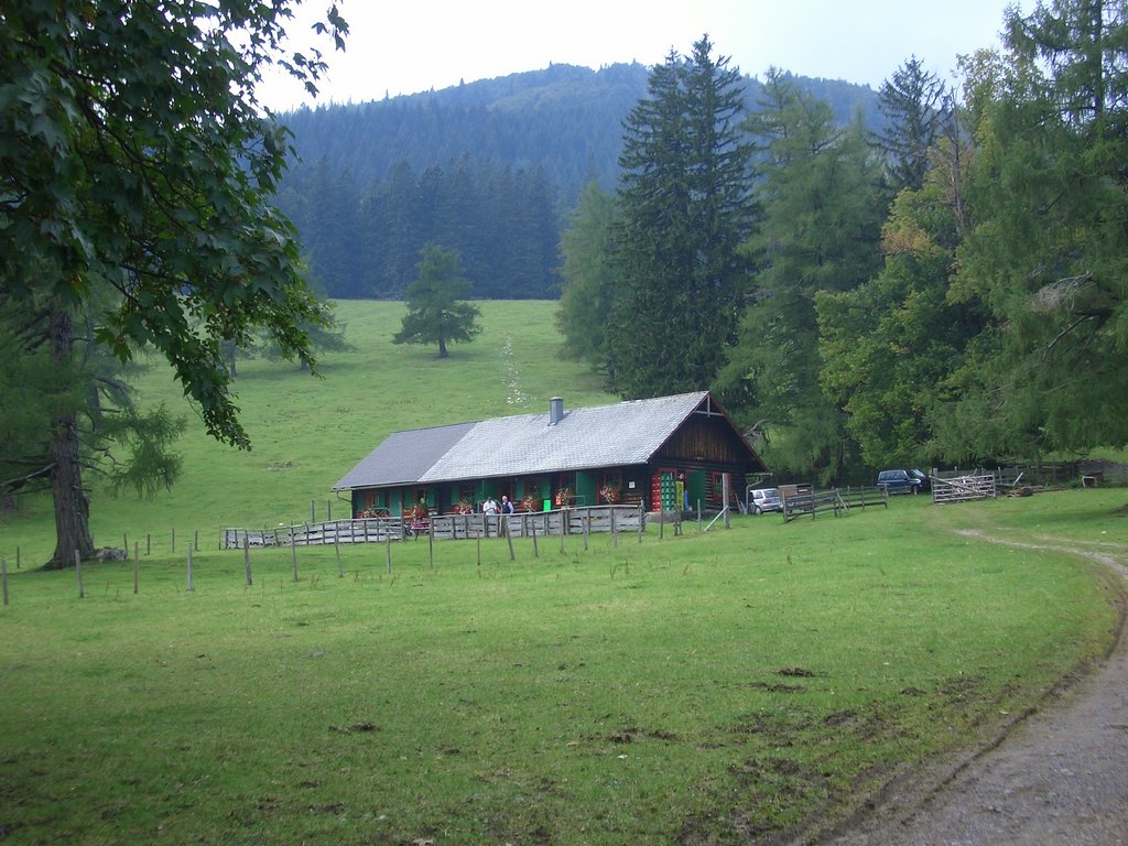 CIMG2560.JPG