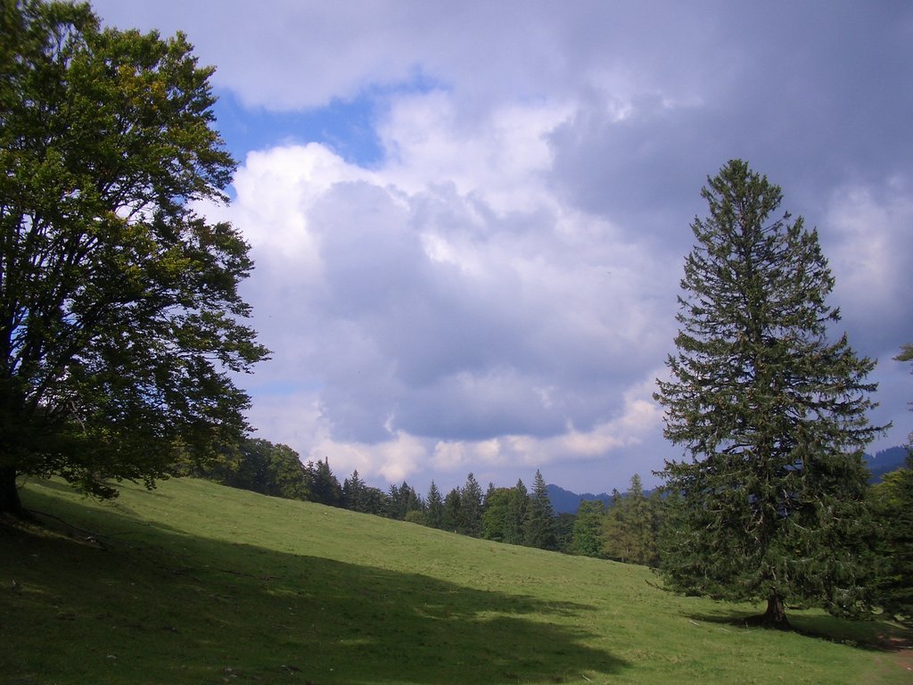CIMG2587.JPG