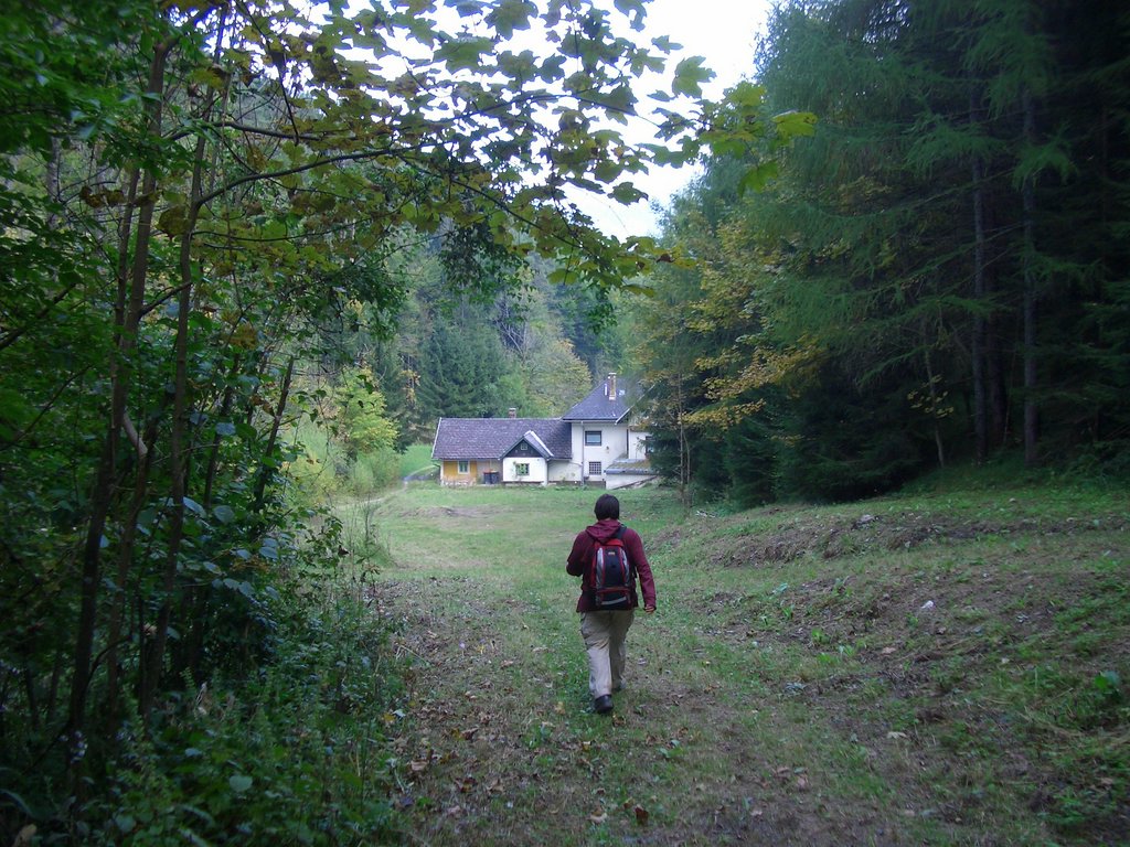 CIMG2614.JPG