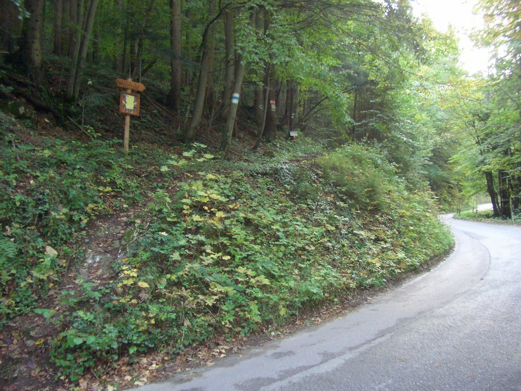 CIMG2622.JPG