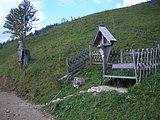 CIMG2552.JPG