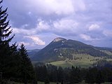 CIMG2583.JPG