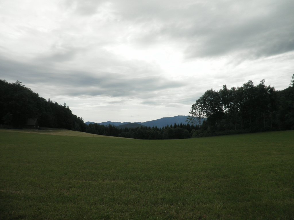 P6230003.JPG