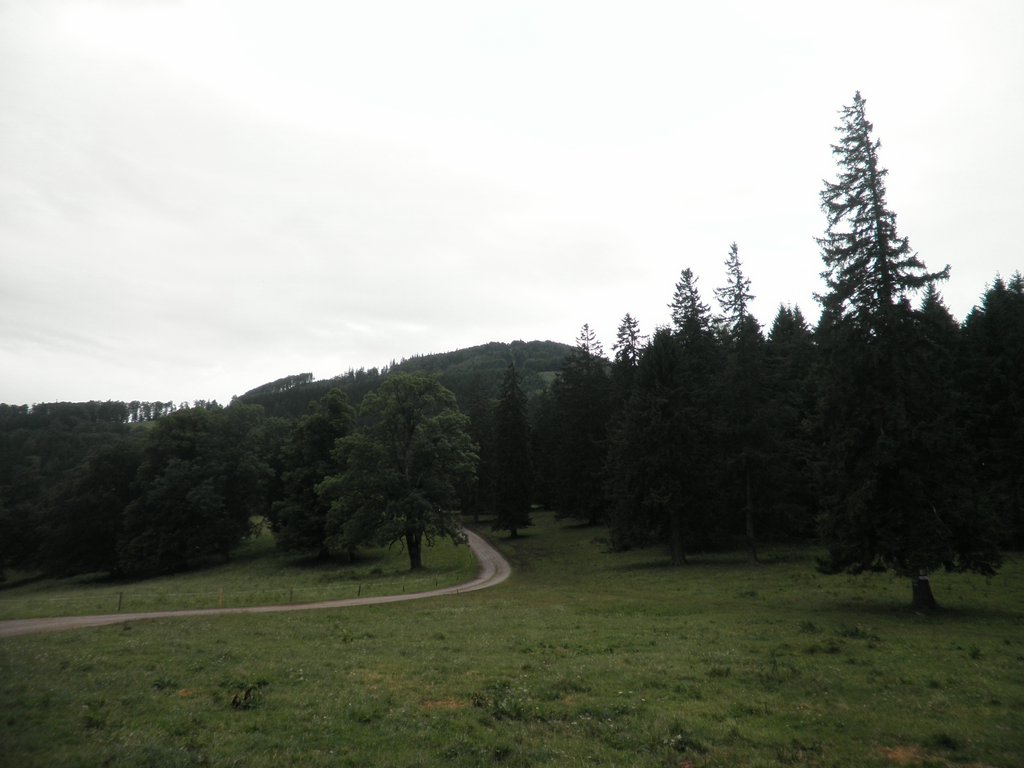 P6230006.JPG