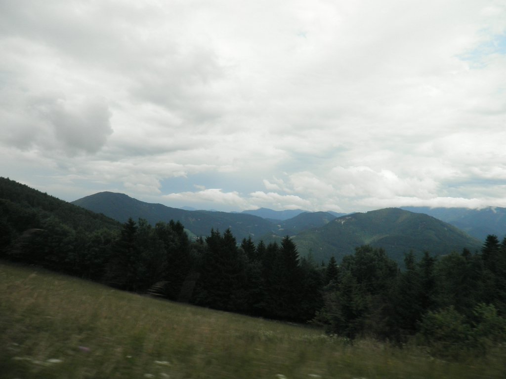 P6230037.JPG