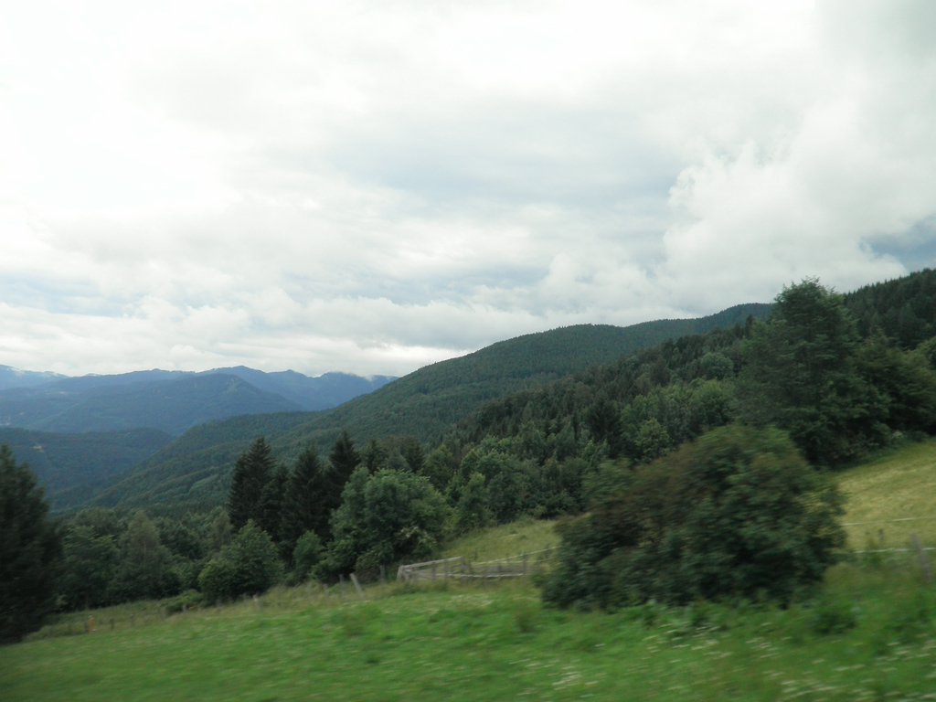 P6230040.JPG