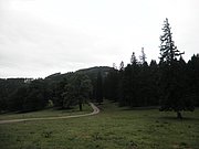 P6230006.JPG