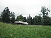 P6230007.JPG