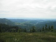 P6230016.JPG
