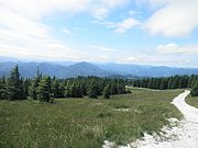 P6230019.JPG