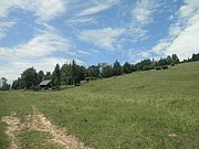 P6230026.JPG
