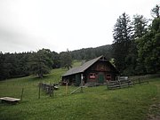P6230034.JPG