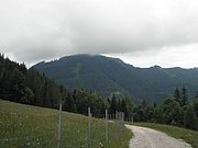P6230035.JPG