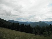 P6230037.JPG