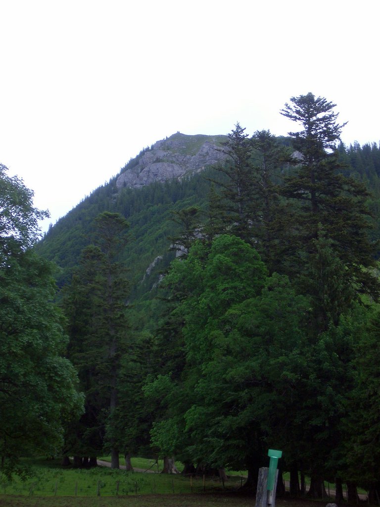CIMG5344.JPG