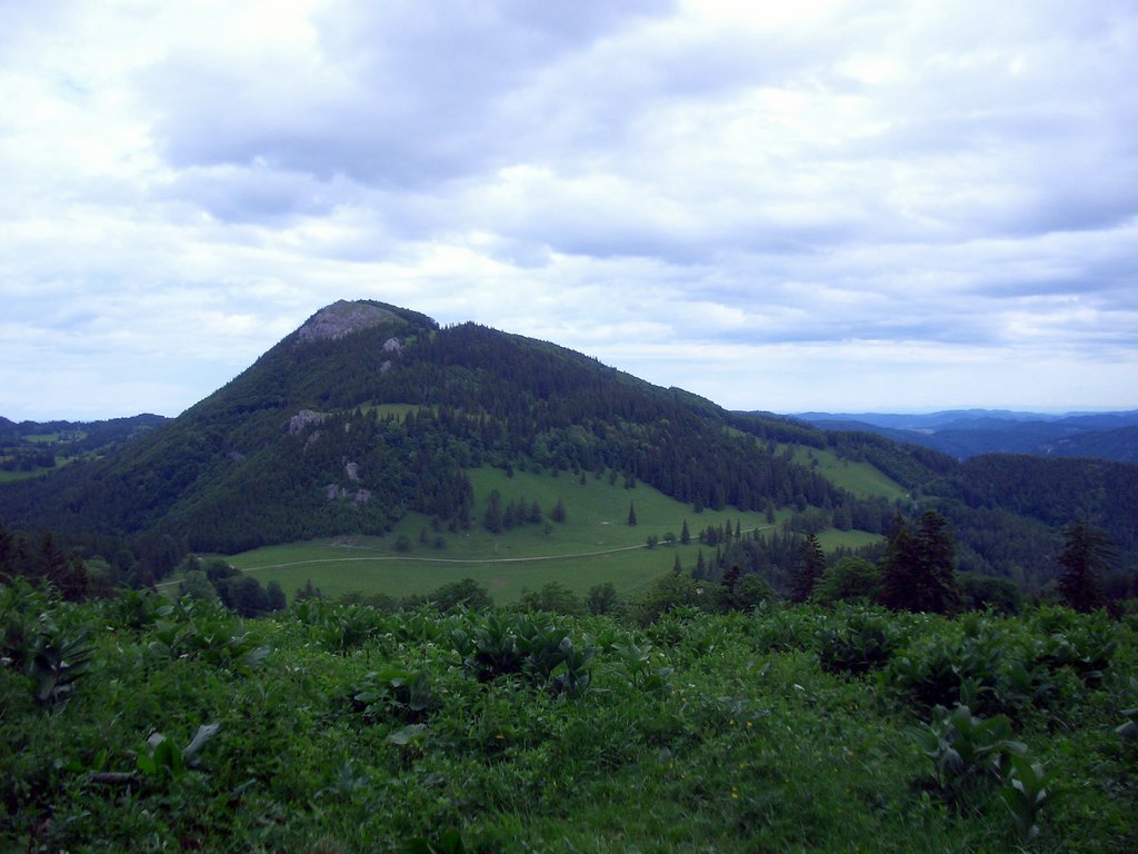 CIMG5352.JPG