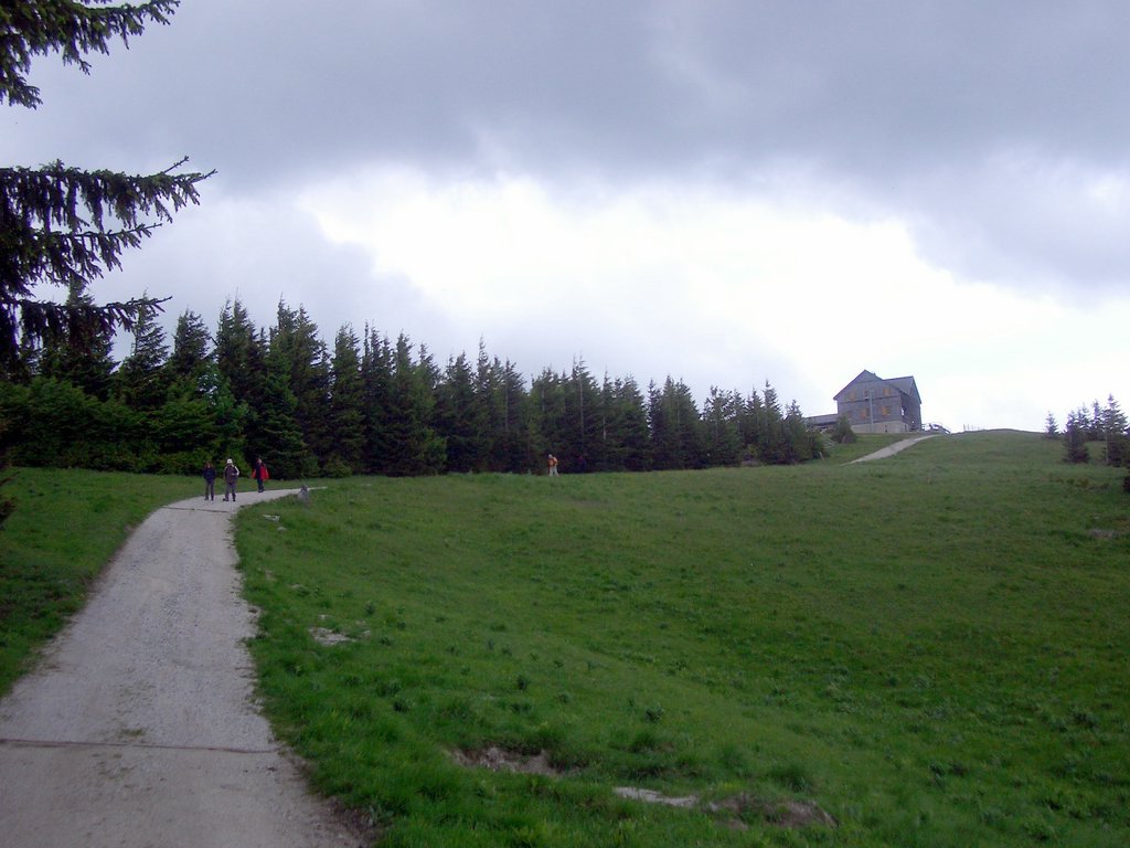CIMG5371.JPG
