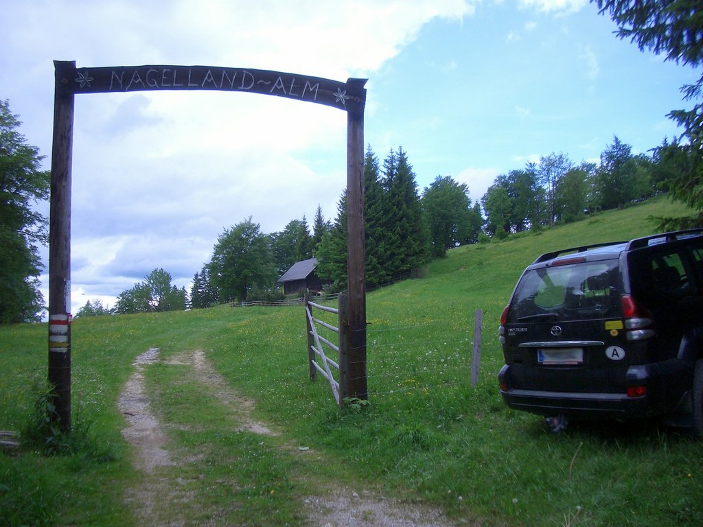 CIMG5383.JPG