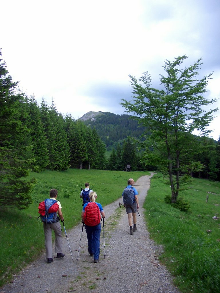 CIMG5389.JPG