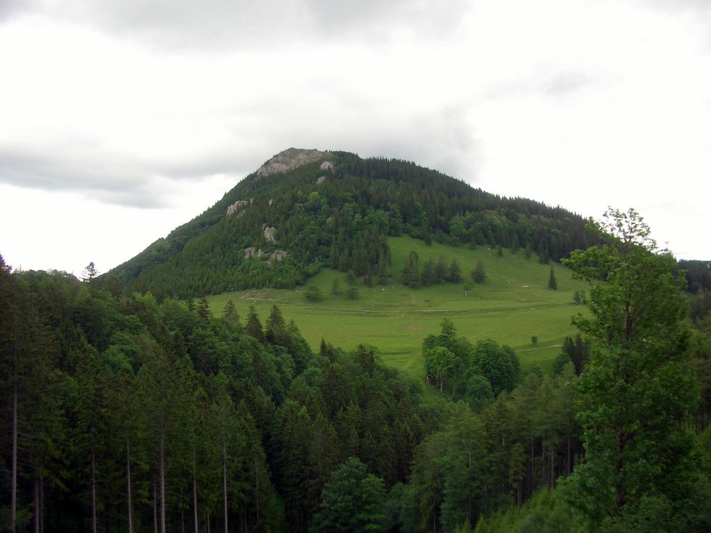 CIMG5390.JPG