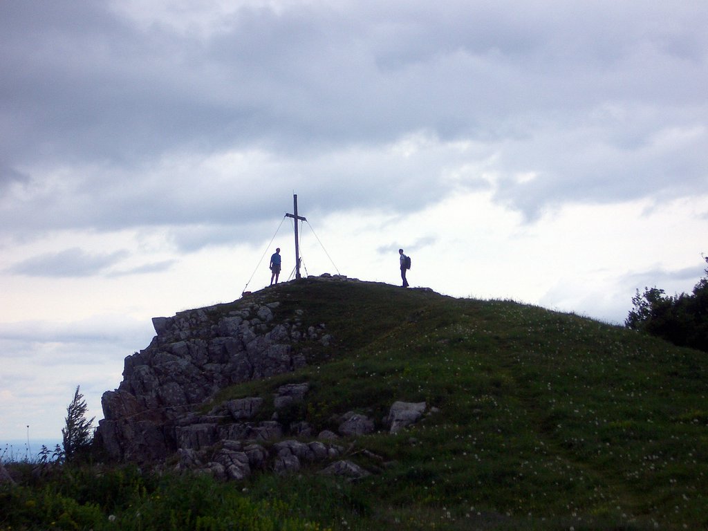 CIMG5404.JPG