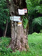 CIMG5380.JPG