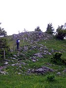 CIMG5401.JPG