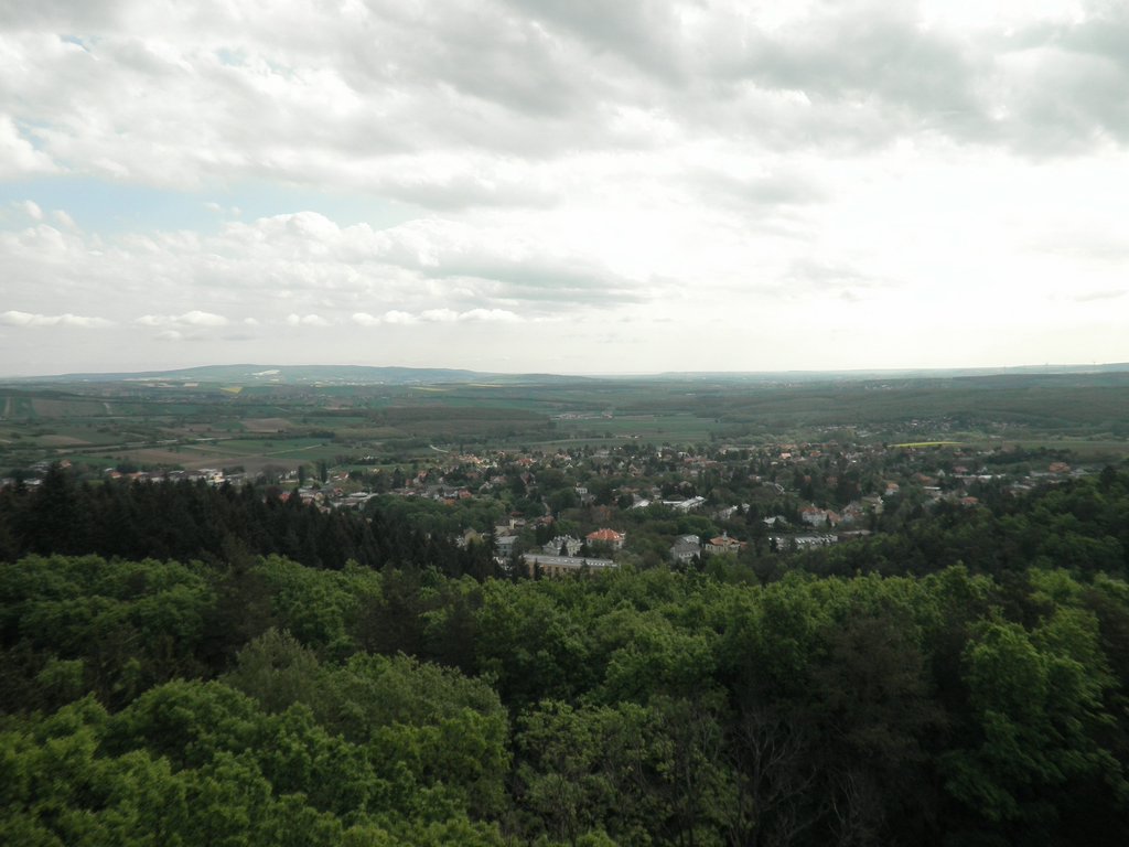 P5010060.JPG