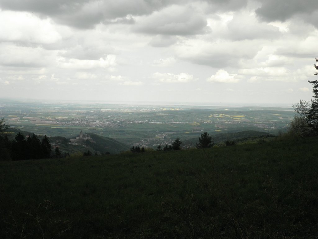 P5010097.JPG