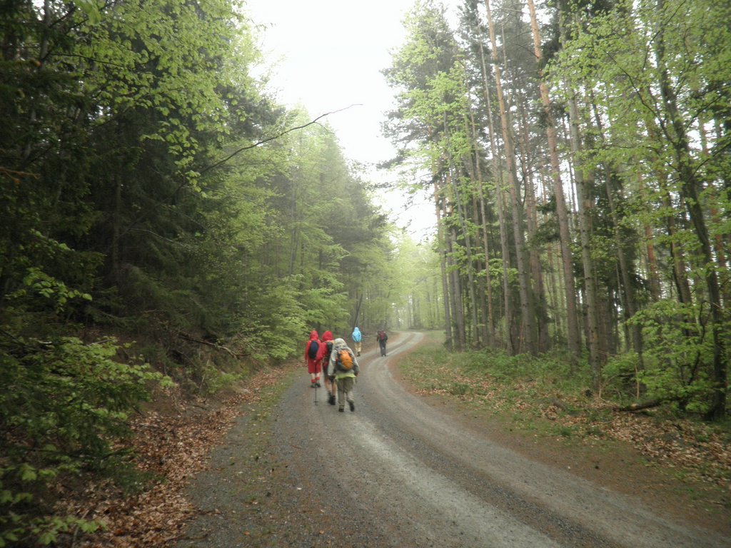 P5010107.JPG