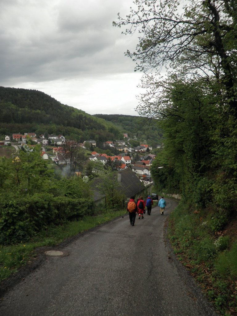 P5010114.JPG