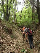 P5010068.JPG